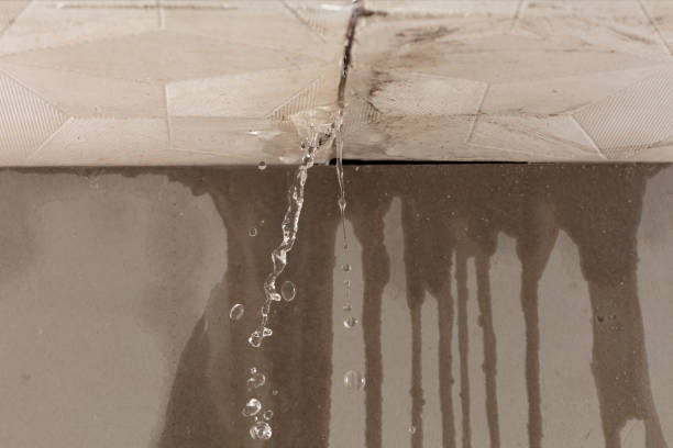 Professional Burst Pipe Cleanup technician working in Rock Island, IL